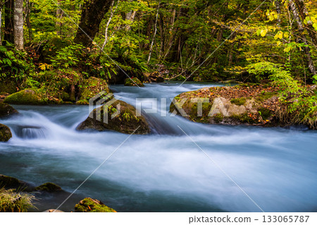 奧入瀨峽谷的秋葉 [青森縣十和田市] 133065787
