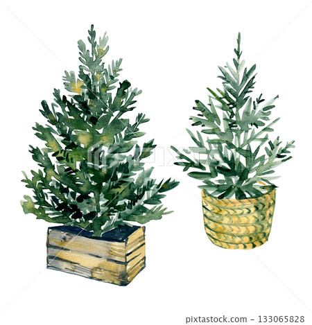 Watercolor illustration of two small Christmas trees in wooden and wicker pots. Perfect for cozy holiday decor, greeting cards, eco-style prints, and festive winter compositions. Watercolor illustration of two small Christmas trees in wooden and wicker pots. Perfect for cozy holiday decor, greeting cards, eco-style prints, and festive winter compositions. 133065828