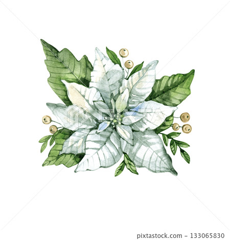 Watercolor illustration of a white poinsettia with green leaves and berries elegant floral element for Christmas decor, cards, or winter wedding invitations. 133065830