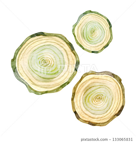 Watercolor illustration of wooden tree slices with natural green and beige tones. Perfect for Christmas crafts, rustic wedding design, eco-style branding, and woodland-themed decorations. 133065831