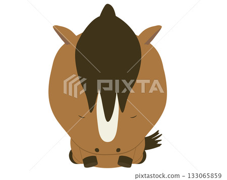 一匹棕色的馬跪著 133065859