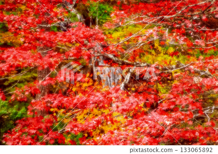 Furumineen Garden, Kanuma City, Tochigi Prefecture 133065892