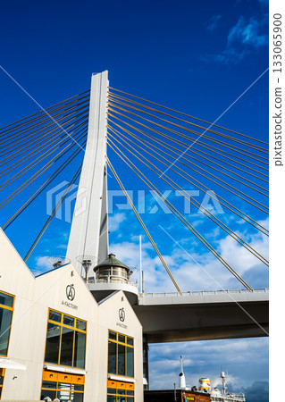 青森灣大橋 [青森市，青森郡] 133065900