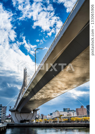 青森灣大橋 [青森市，青森郡] 133065906