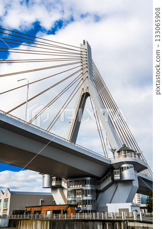 Aomori Bay Bridge [Aomori City, Aomori Prefecture] 133065908