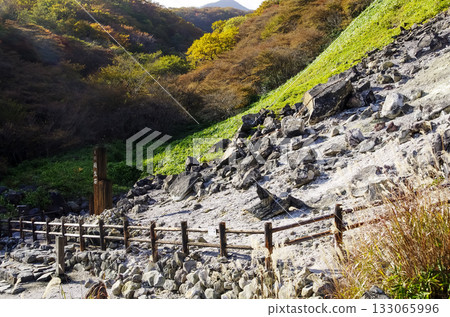 Nasu Town, Tochigi Prefecture Nine-Tailed Fox Legendary Sesshoseki 133065996