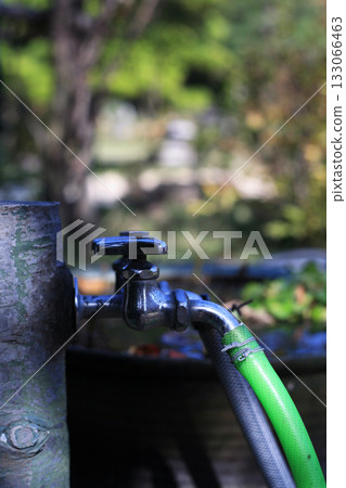 Sprinkler plug in the park Sprinkler plug in the park 133066463