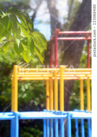 公園裡的叢林健身房 公園裡的叢林健身房 133066480