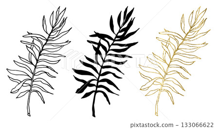 Exotik leaves 133066622