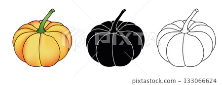 Pumpkin hand drawn ilustration for fall hollyday Pumpkin hand drawn ilustration for fall hollyday 133066624