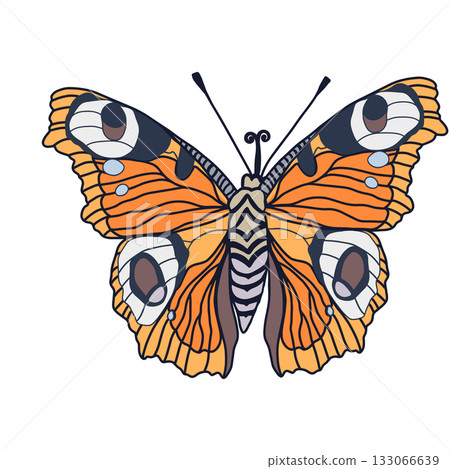 Monarch butterflies Vector hand drawn insect illustration isolated on white background 133066639