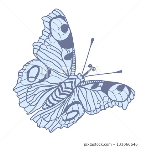 Monarch butterflies Vector hand drawn insect illustration isolated on white background Monarch butterflies Vector hand drawn insect illustration isolated on white background 133066646