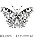 Monarch butterflies Vector hand drawn insect illustration isolated on white background 133066648