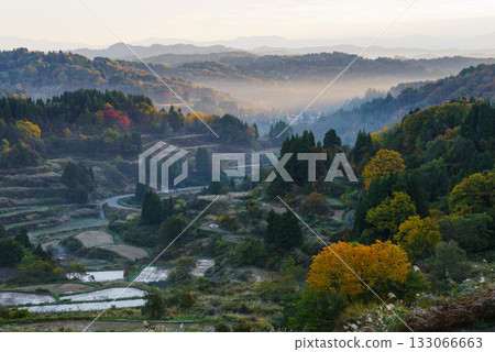 Rice paddy of Star Pass 133066663