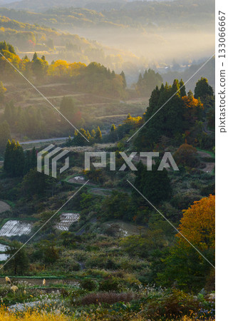 星通的稻田 星通的稻田 133066667