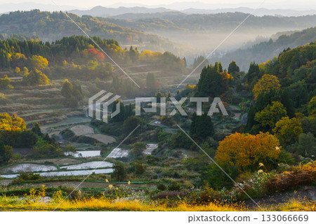 星通的稻田 133066669