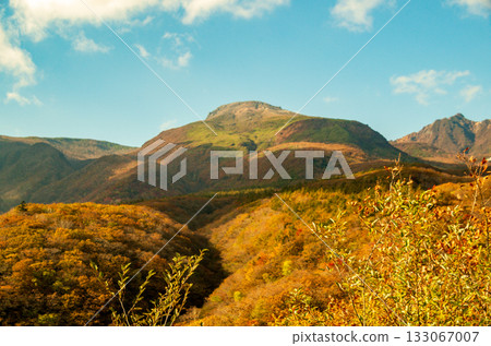 Autumn leaves of Nasu Highlands 133067007