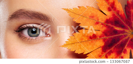 Beautiful female eyes with long eyelashes Beautiful female eyes with long eyelashes 133067087