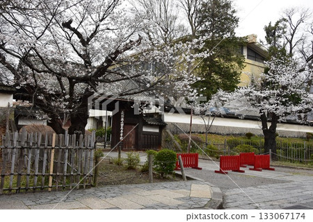 Ueda City: The gate of the Ueda feudal lord's residence and cherry blossoms in full bloom 133067174