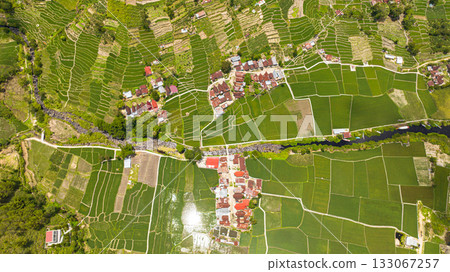 Aerial view of farmland with planting vegetables. Agricultural landscape in Sumatra, Indonesia. 133067257
