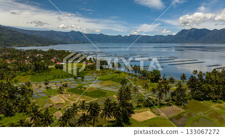 Top view of rice fields and farmland in the highlands next to the lake Maninjau. Sumatra, Indonesia. Top view of rice fields and farmland in the highlands next to the lake Maninjau. Sumatra, Indonesia. 133067272