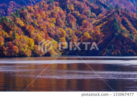 Okadaden湖秋葉 133067477