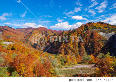 Autumn leaves of Okadaden Lake Autumn leaves of Okadaden Lake 133067482