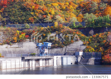 Autumn leaves of Okadaden Lake 133067571