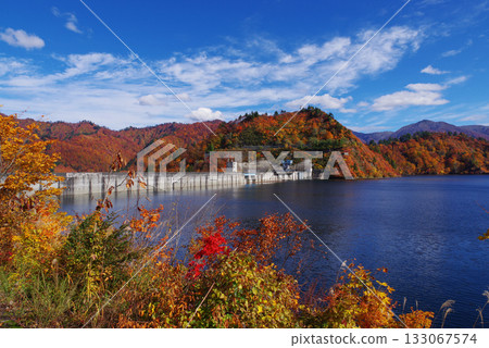 Autumn leaves of Okadaden Lake 133067574