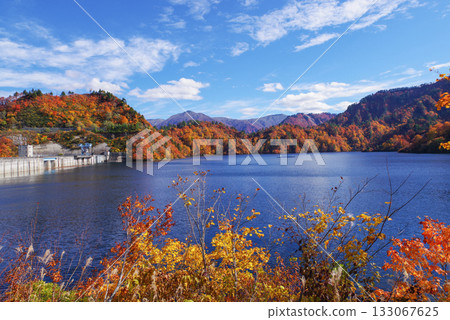 Okadaden湖秋葉 133067625