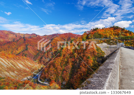 Okadaden湖秋葉 Okadaden湖秋葉 133067649