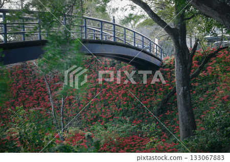 Shiroyama Park, Motegi Town, Tochigi Prefecture Shiroyama Park, Motegi Town, Tochigi Prefecture 133067883