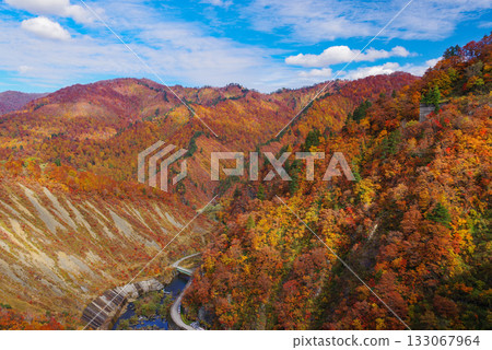 Autumn leaves of Okadaden Lake 133067964