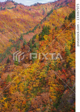 Autumn leaves of Okadaden Lake Autumn leaves of Okadaden Lake 133067973