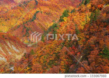 Okadaden湖秋葉 133067980