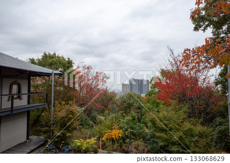 Takarazuka evening view 133068629