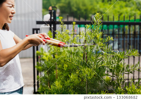 Gardener woman worker trimming bushes with steel hedge shears in garden. 133068682