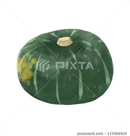 綠色南瓜插圖 133068920