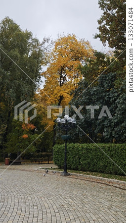 Autumn park with colorful trees and a black lamppost on a paved walkway. The image represents calmness, seasonal change and outdoor tranquility Autumn park with colorful trees and a black lamppost on a paved walkway. The image represents calmness, seasonal change and outdoor tranquility 133071484