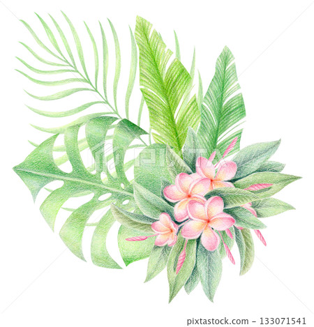 Tropical leaves and plumeria flowers, colored pencil and watercolor illustration 133071541