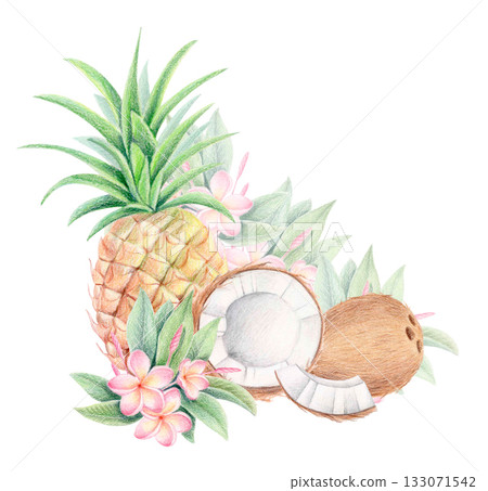 Pineapple, coconut and plumeria, tropical watercolor and colored pencil illustration Pineapple, coconut and plumeria, tropical watercolor and colored pencil illustration 133071542