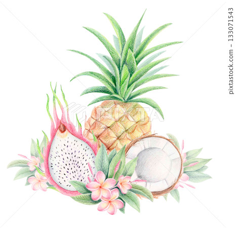 Pineapple, coconut, dragon fruit and plumeria, tropical watercolor illustration Pineapple, coconut, dragon fruit and plumeria, tropical watercolor illustration 133071543