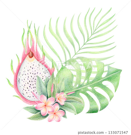 Dragon fruit, plumeria and tropical leaves, watercolor and colored pencil illustration Dragon fruit, plumeria and tropical leaves, watercolor and colored pencil illustration 133071547