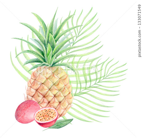 Pineapple, passion fruit and tropical palm leaves, watercolor and colored pencil illustration Pineapple, passion fruit and tropical palm leaves, watercolor and colored pencil illustration 133071549