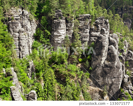 Spring mountain landscape with rocks and dense green forest. Saxon Switzerland. 133071577