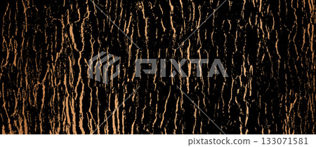 Tree bark background 133071581