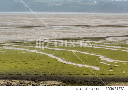 Seaside landscape in Armor Coast, Brittany in France Seaside landscape in Armor Coast, Brittany in France 133071781
