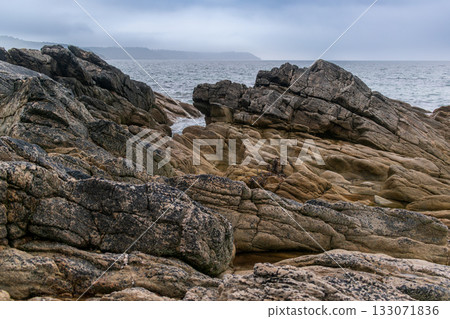 Seaside landscape in Armor Coast, Brittany in France 133071836