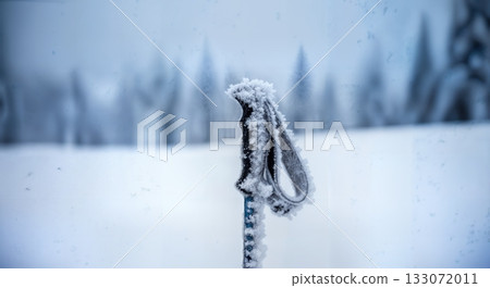 Ski pole planted in fresh snow with frosted basket and shaft minimal winter sports detail close up Ski pole planted in fresh snow with frosted basket and shaft minimal winter sports detail close up 133072011