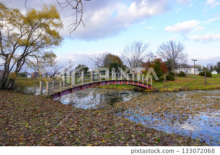 北村中央公園社區廣場的稻穗橋 北村中央公園社區廣場的稻穗橋 133072068